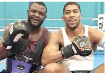 Boxing: Bakole Eyes Joshua Fight In Africa