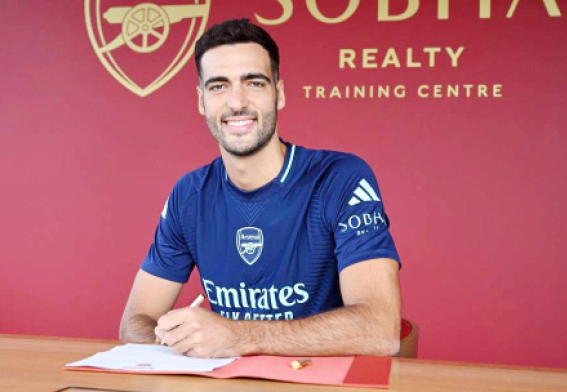 merino