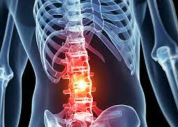 Spinal Cord Injuries: Group Calls For Inclusive development, Creation Of Trust Fund
