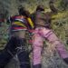 Troops Foil Ambush, Neutralise 2 Terrorists In Borno 5 Troops Foil Ambush, Neutralise 2 Terrorists In Borno