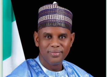 FG Denies Imminent Collapse Of Goronyo Dam