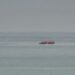 PICTORIAL: Migrants Attempt English Channel Crossing Day After 12 Die In Boat Mishap 6 PICTORIAL: Migrants Attempt English Channel Crossing Day After 12 Die In Boat Mishap