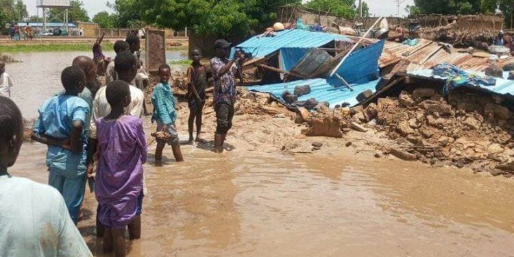 Senators Visit Maiduguri