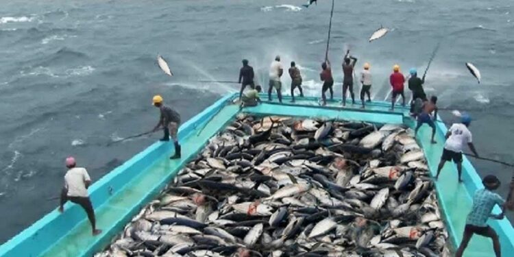 niger delta