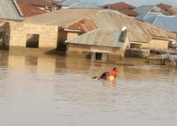 Flood Kills 11, Ravages 529 Communities In Niger