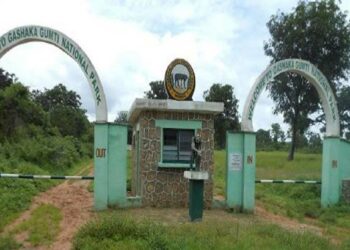 Gashaka-Gumti National Park, Regaining Lost Glory