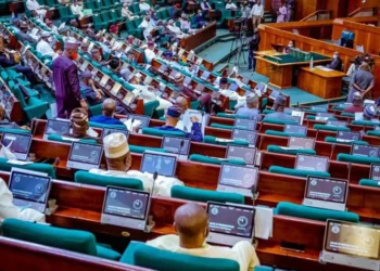 Remit VAT On Remita Transactions To FG, Reps Panel Tells DMB