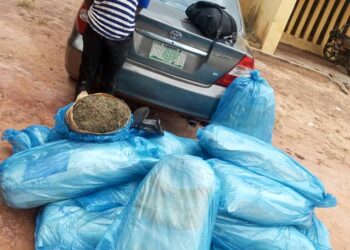 Police Arrest Suspect With 15 Bags Of Marijuana In Nasarawa