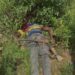 PICTORIAL: NAF Kills Terrorist Kingpin Mustapha Abdullahi, 5 Others In Kaduna 5 PICTORIAL: NAF Kills Terrorist Kingpin Mustapha Abdullahi, 5 Others In Kaduna