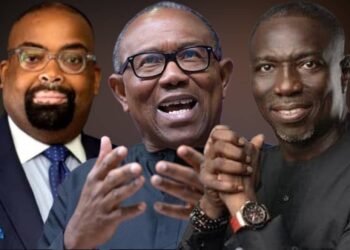 Edo Guber: Obi-dients Group Berates Peter Obi, Rejects Akpata As LP Candidate