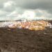 NAFDAC Destroys N43bn Worth Of Substandard Products In Oyo 5 NAFDAC Destroys N43bn Worth Of Substandard Products In Oyo