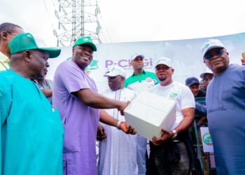 Nigeria At 64: PCNGi To Promote CNG Adoption, Infrastructure Expansion