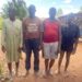PICTORIAL: Troops Kill Notorious Terrorist, Arrest 22 Cattle Rustlers In Kaduna, Plateau, Others 5 PICTORIAL: Troops Kill Notorious Terrorist, Arrest 22 Cattle Rustlers In Kaduna, Plateau, Others
