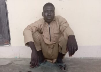 PICTORIAL: Notorious Boko Haram Terrorist Surrender To MNJTF In Borno
