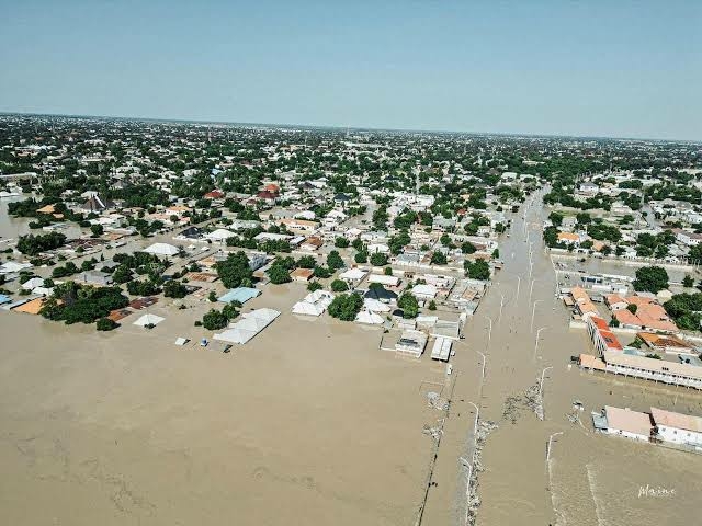 RDI Blames Governance Failure For Collapsed Alau Dam 1 IMG 8368