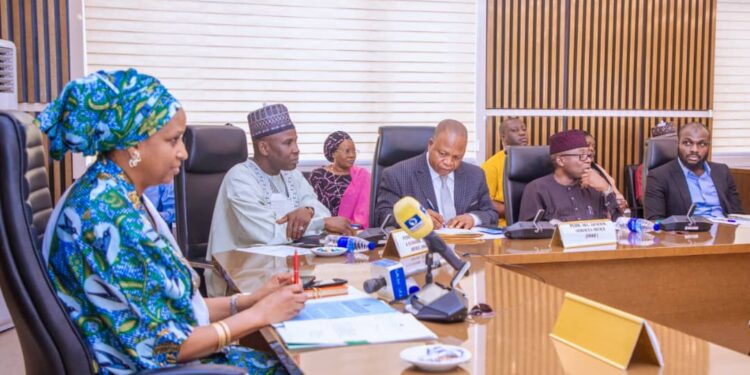 Special Adviser to the President on Policy and Coordination, Hadiza Bala Usman.