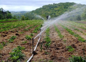 Kano Assembly Urges Govt To Provide Irrigation Channel To Kiru Community To Boost Farming