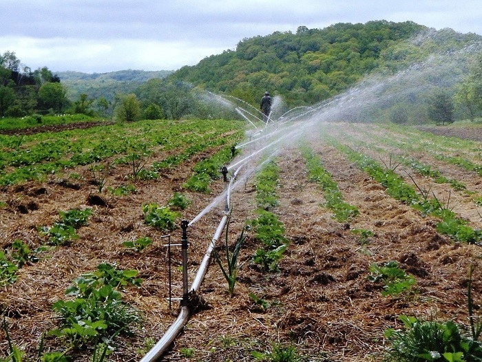 Kano Assembly Urges Govt To Provide Irrigation Channel To Kiru Community To Boost Farming 1 Irrigation Farming