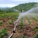Kano Assembly Urges Govt To Provide Irrigation Channel To Kiru Community To Boost Farming 5 Kano Assembly Urges Govt To Provide Irrigation Channel To Kiru Community To Boost Farming