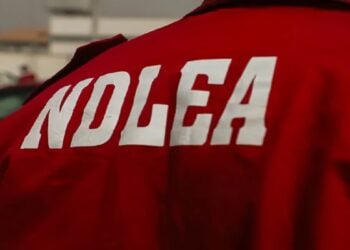 NDLEA Intercepts Ex-convict With N4.6bn Worth Of Cocaine