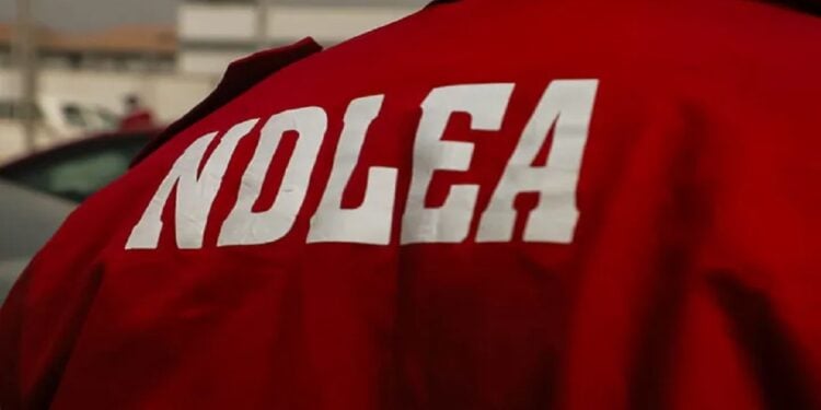 NDLEA