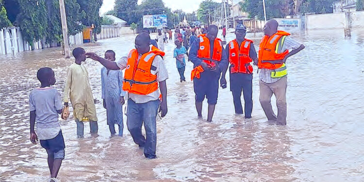 borno
