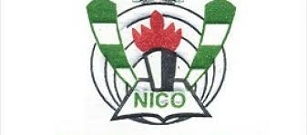 Afro-Brazilians Express Desire For Nigerian Citizenship 1 NICO