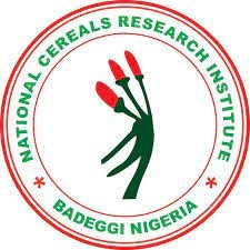 ED NCRI Baddegi Seeks Restoration Of Lost Glory 1 National Cereal Research Institute NCRI