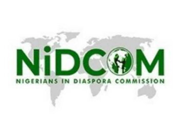 NIDCOM Boss Calls For More Diaspora Investment In Africa