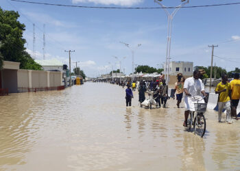 Borno Flooding Too Devastating For Region Struggling With Insurgency – RAID