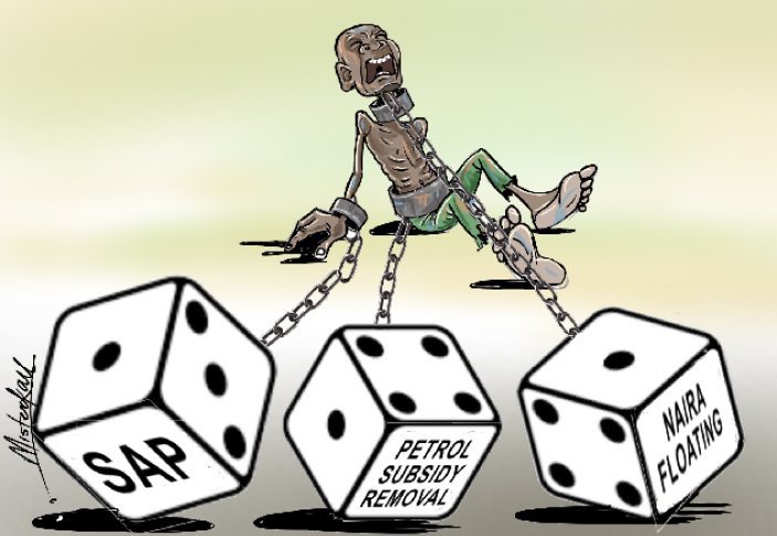 Nigeria's Public Policy Gambles 1 nigeria