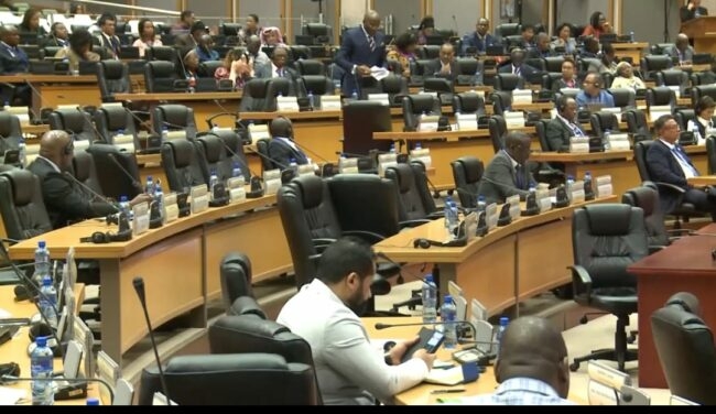 Pan-African Parliament Declares Support For Nigerian, Other Flood Victims 1 Pan african e1726945235183