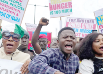Blame Buhari For Current Economic Hardship –  CBN