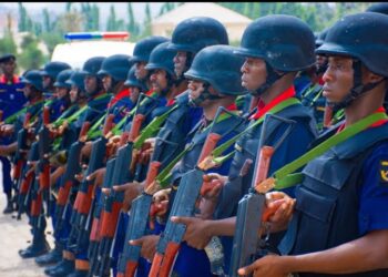 NSCDC Parades 12 Suspected Vandals, Thieves In Adamawa
