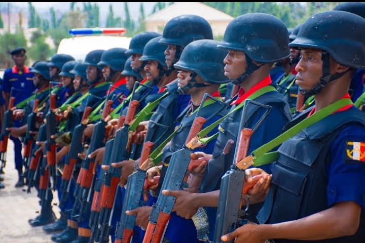 NSCDC Parades 12 Suspected Vandals, Thieves In Adamawa 1 Screenshot 20240729 113852 1
