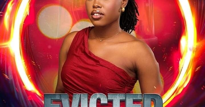 BBNaija 9