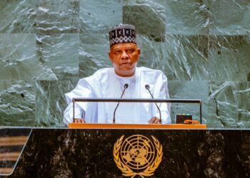 Nigeria To UN: Palestinian People Deserve Independence