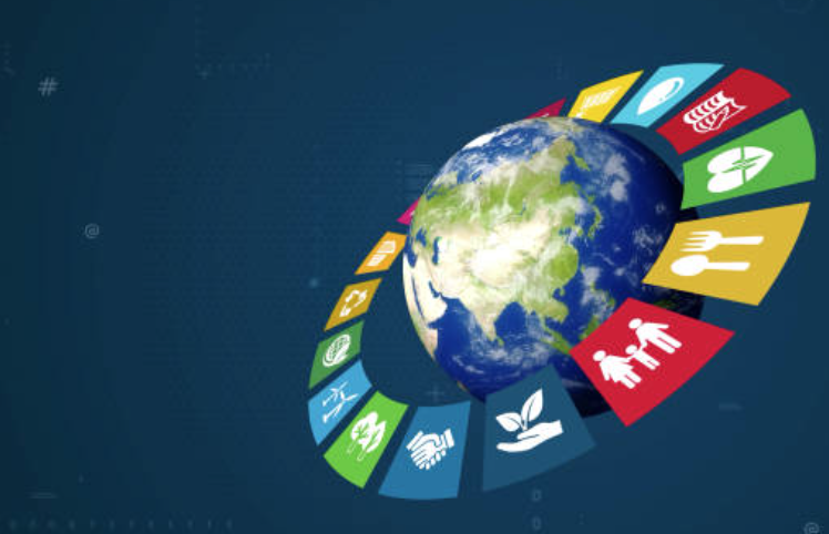 Stakeholders Review SDG Progress At South-East VNR Consultation 1 Sustainable Development Goals SDGs