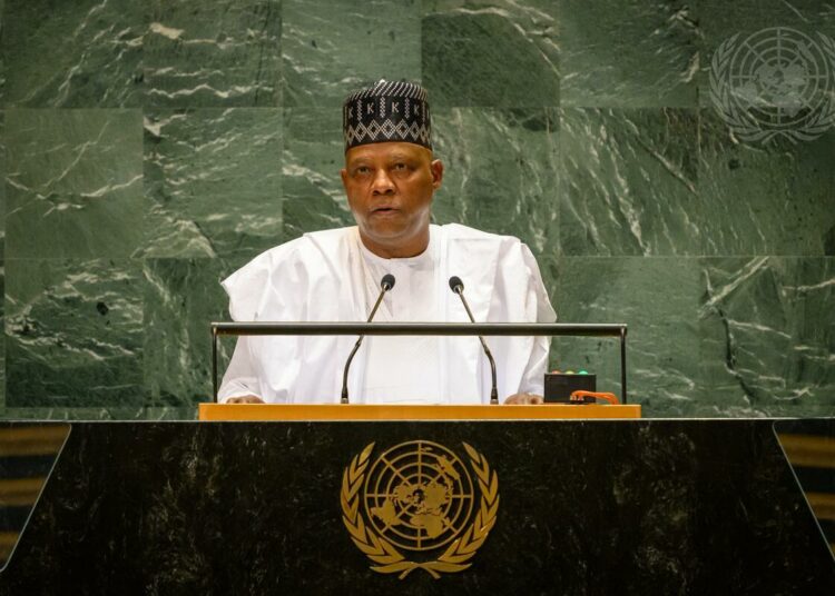 Vice President Kashim Shettima