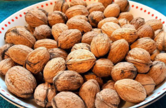 Seven Tips On Health Benefits Of Walnuts 1 Walnuts