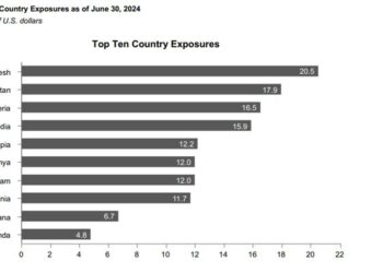 BREAKING: Nigeria Becomes Third Largest IDA Debtor, Secures $2.2bn Under Tinubu