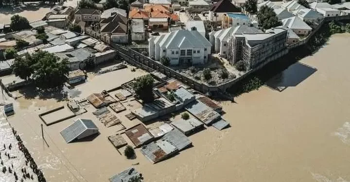 Borno Govt Provide Meals To Flood Victims