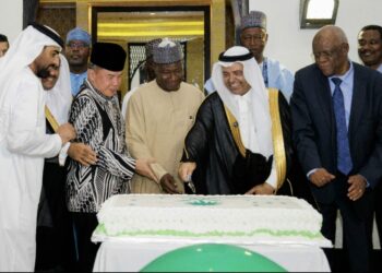 Nigeria Loses 145 Women To Pregnancy, Childbirth Complications Daily — NPHCDA