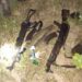 MNJTF Troops Foil Terrorists' Attack In Borno 5 MNJTF Troops Foil Terrorists’ Attack In Borno