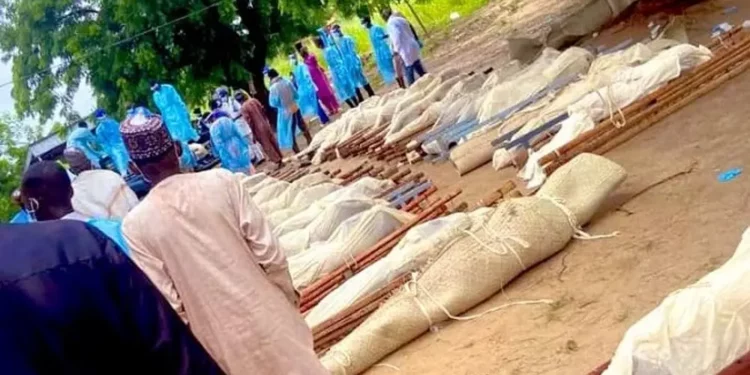The Mafa Killings