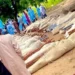 The Mafa Killings