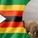 Zimbabwe To Feed Hungry Citizens With 200 Elephants 5 zimbabwe