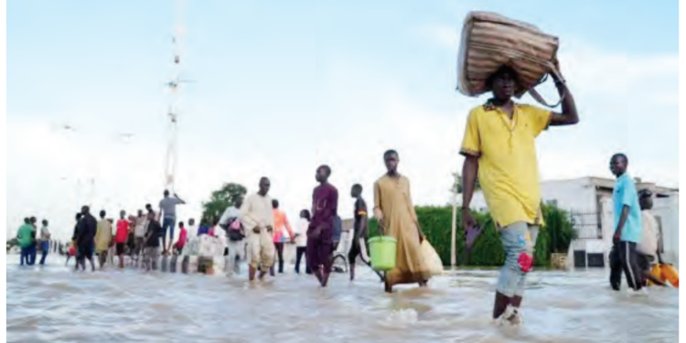 borno dam disaster