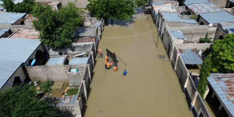 Borno Flood Victims