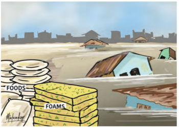 Borno Floods: Beyond Relief